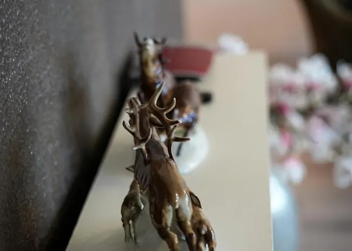 Ostsee43 - Cajus Apartment *